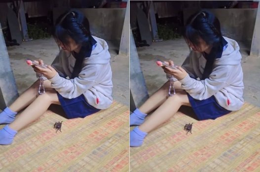 Mục đích chính khi bạn ghé nhà là để quấn quýt với nhau