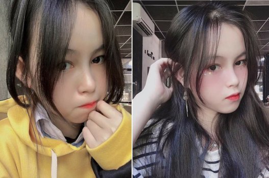 Chim lợn rất nhỏ và dễ bắn nước